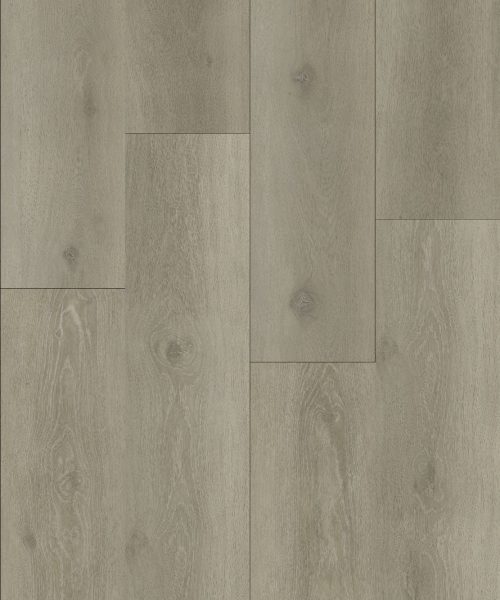 WhatsApp Image 2024-10-14 at 7.54.19 AM (1)