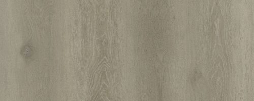 WhatsApp Image 2024-10-14 at 7.54.19 AM