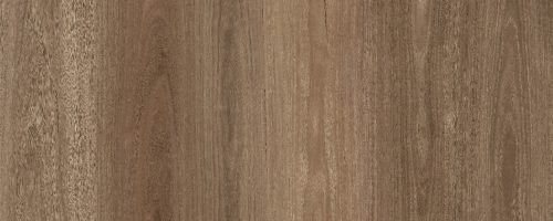 WhatsApp Image 2024-10-14 at 7.54.20 AM