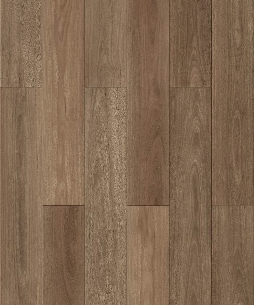 WhatsApp Image 2024-10-14 at 7.54.21 AM