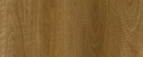 WhatsApp Image 2024-10-14 at 7.54.22 AM