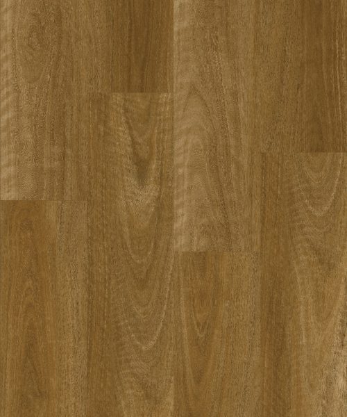 WhatsApp Image 2024-10-14 at 7.54.23 AM