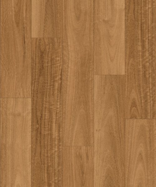 WhatsApp Image 2024-10-14 at 7.54.24 AM (1)