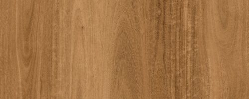 WhatsApp Image 2024-10-14 at 7.54.24 AM