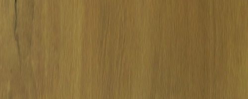 WhatsApp Image 2025-08-19 at 8.47.02 AM