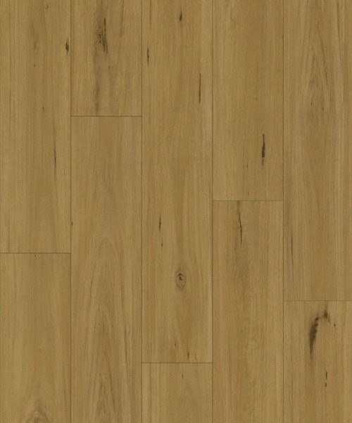 WhatsApp Image 2025-08-19 at 8.47.04 AM