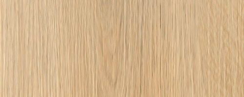 WhatsApp Image 2025-08-19 at 8.47.06 AM