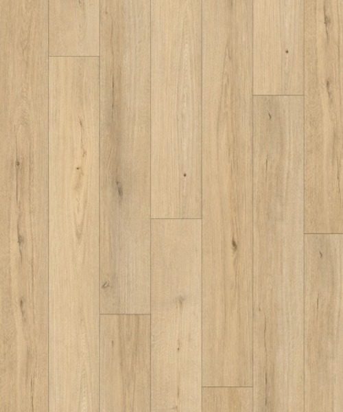 WhatsApp Image 2025-08-19 at 8.47.07 AM